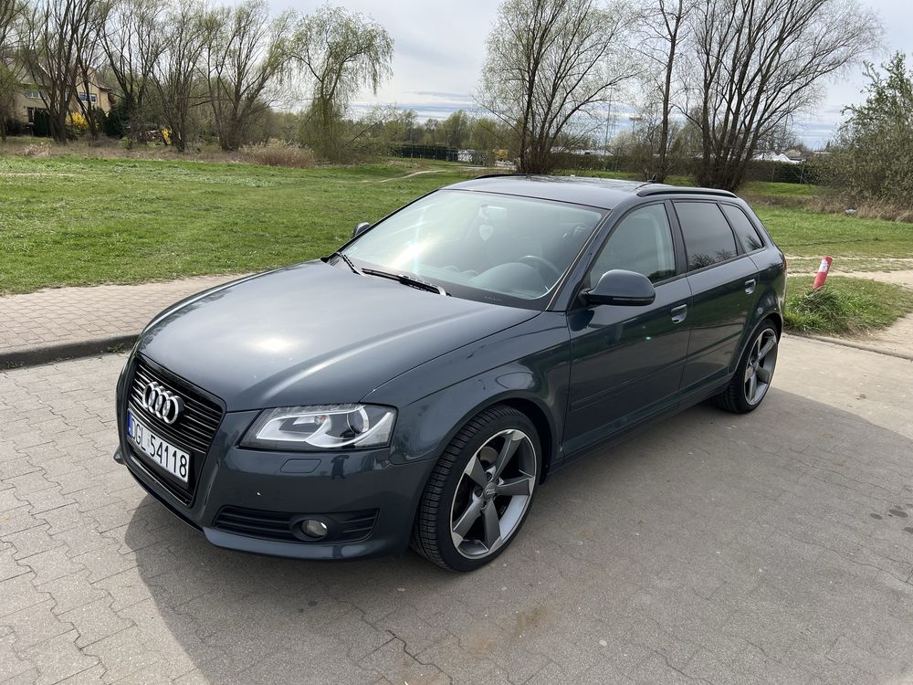 Audi A3 8P 2.0 Tdi 170km DSG