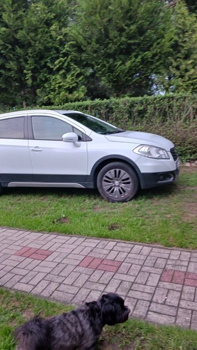 Suzuki SX Cross 2013