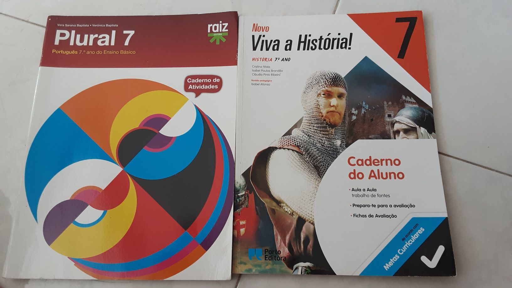 Cadernos de atividades e manuais  7o ano