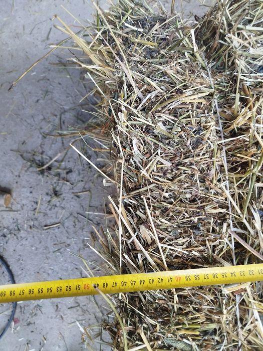 siano kostki 2025 sipma 7