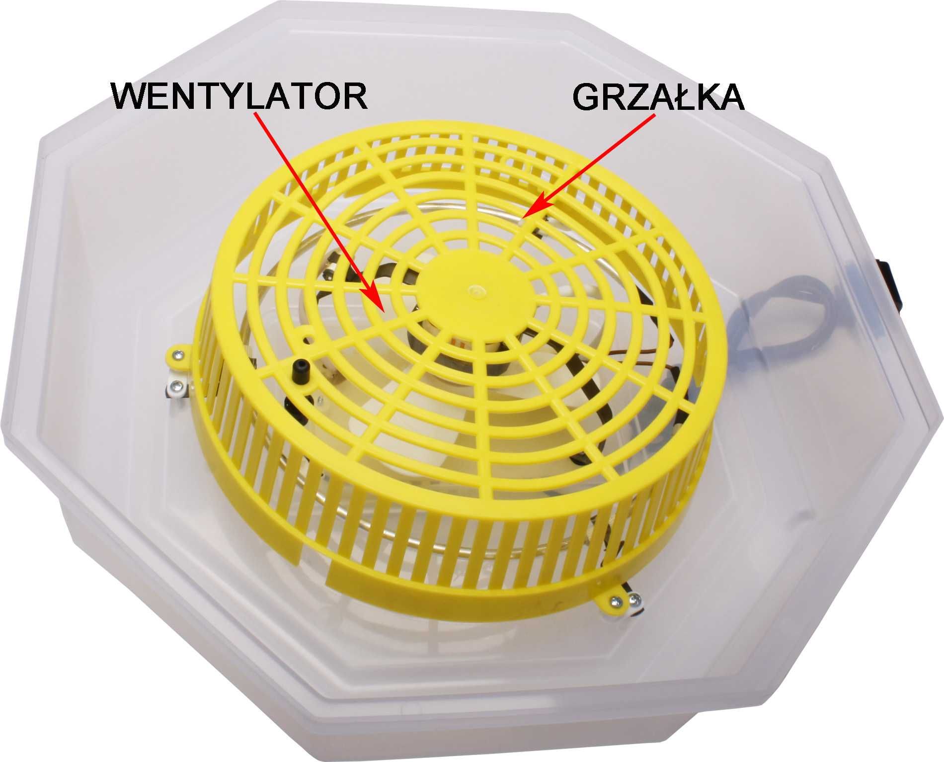 Inkubator Cleo 5 DTHEA AUTOMAT SILNIK automatyczne obracanie jaj