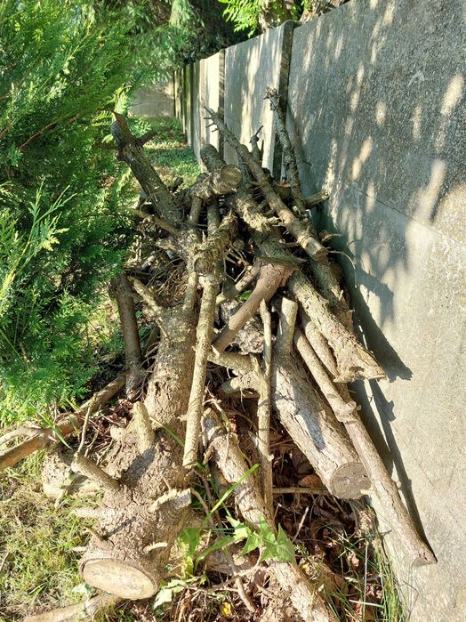 Drewno na opał, deski, palety