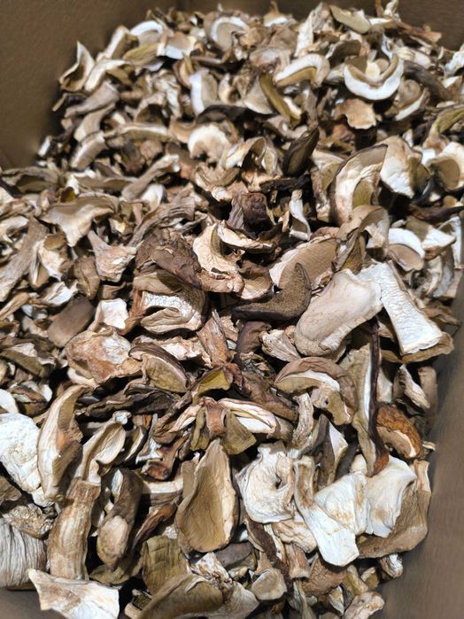 Sprzedam grzyby suszone i marynowane