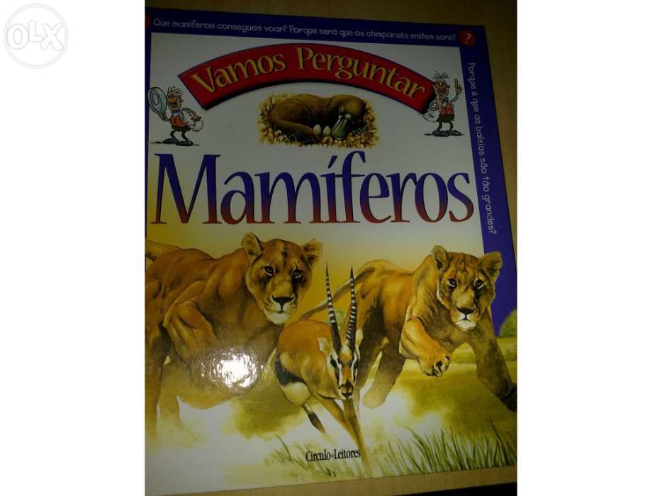 Coleção Vamos Perguntar 3 volumes