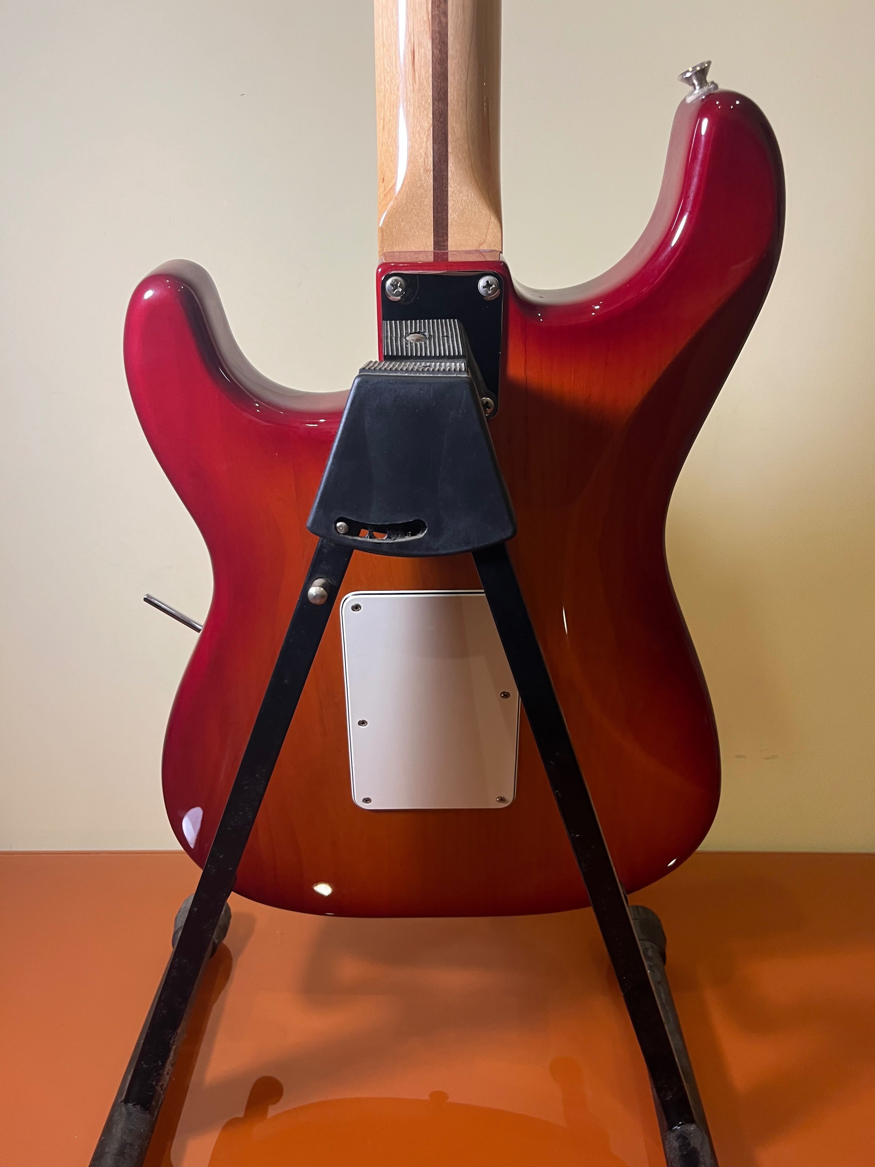 Guitarra Fender Stratocaster HSS Foyd Rose MN