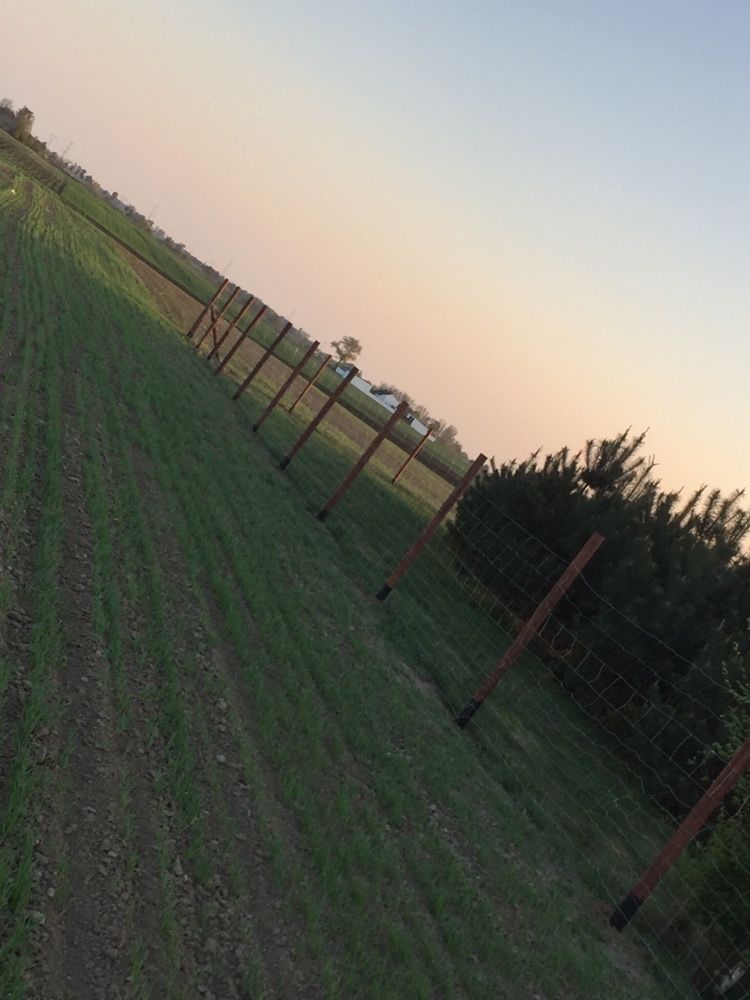 Ogrodzenie leśne płot tymczasowy budowlany tanio 17zł/Mb ASF