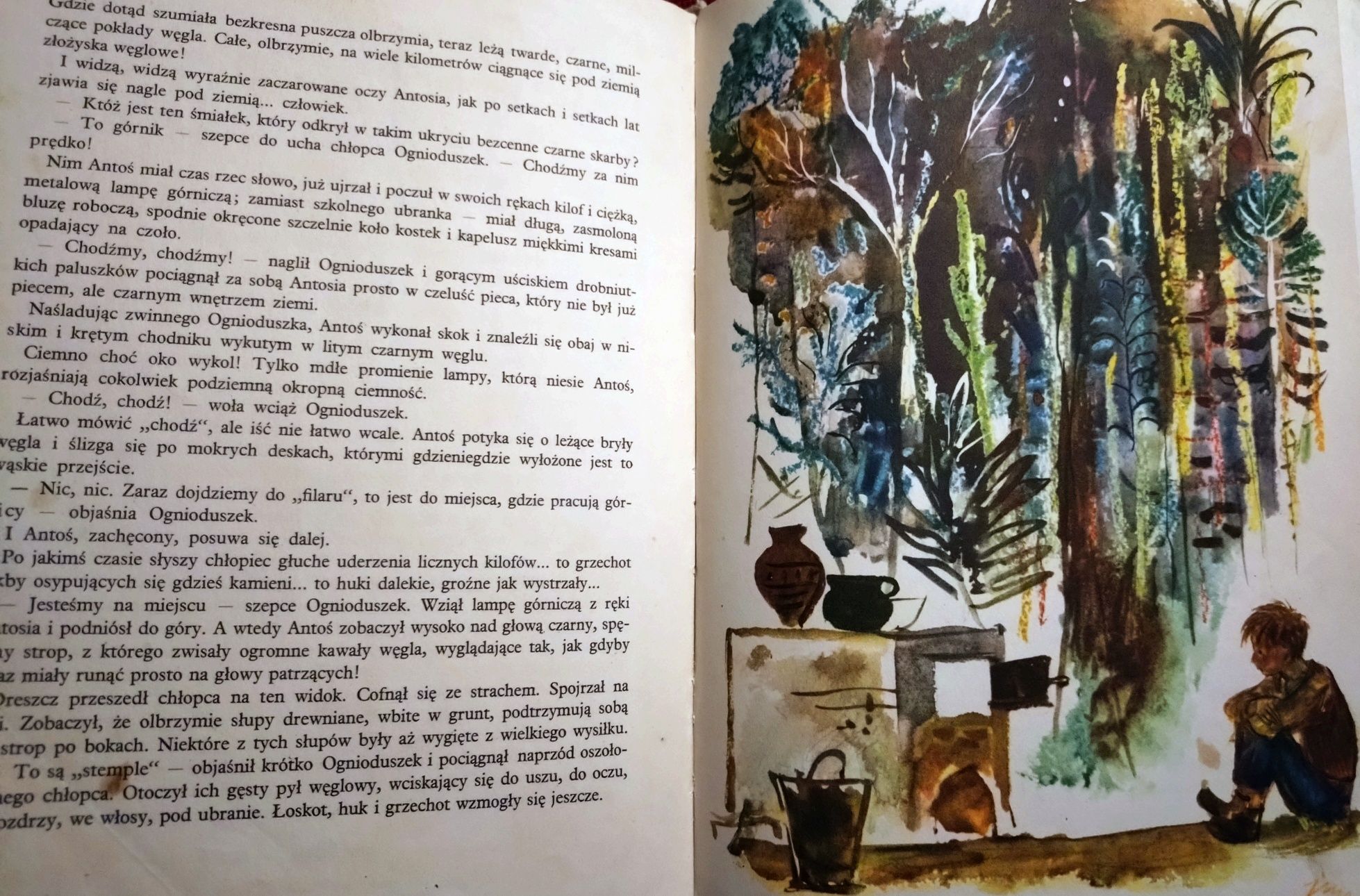 Przez różową szybkę. Ewa Szelburg Zarembina. J.M. Szancer