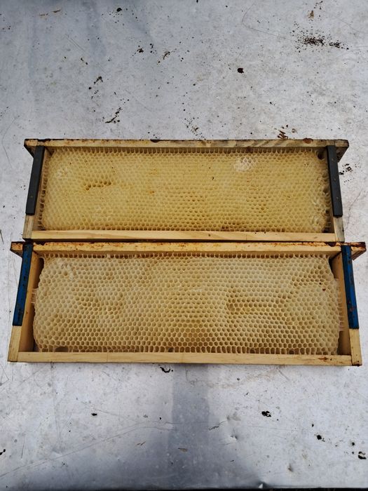 Ramki wielkopolskie hoffmanowskie poszerzane 35 mm z suszem