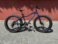 Bicicleta roda larga marca Totem
