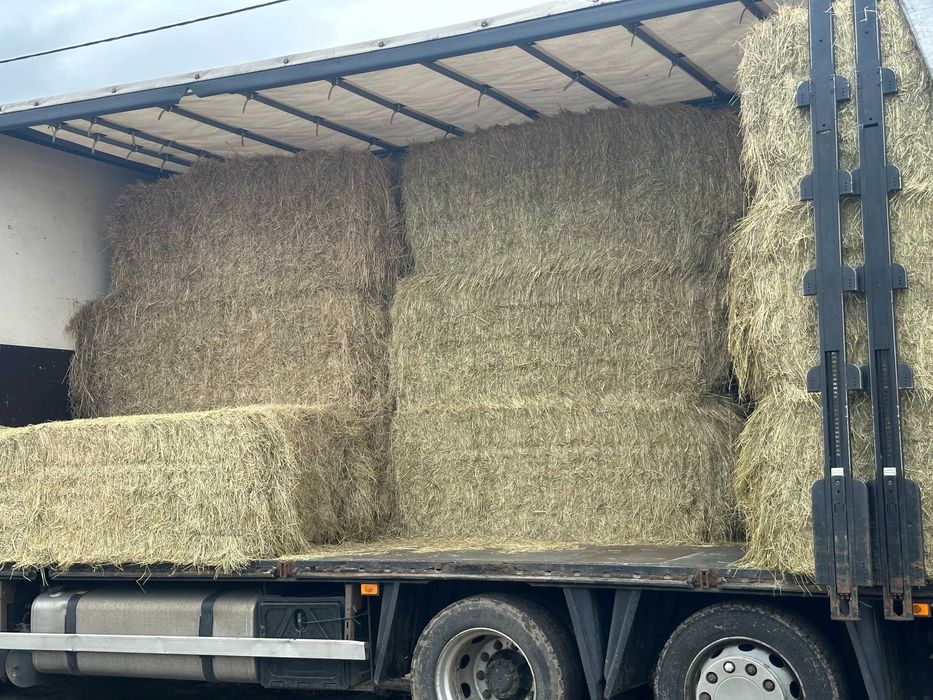 SŁOMA oraz SIANO na sprzedaż w belach 120x130cm ORAZ MAŁA KOSTKA