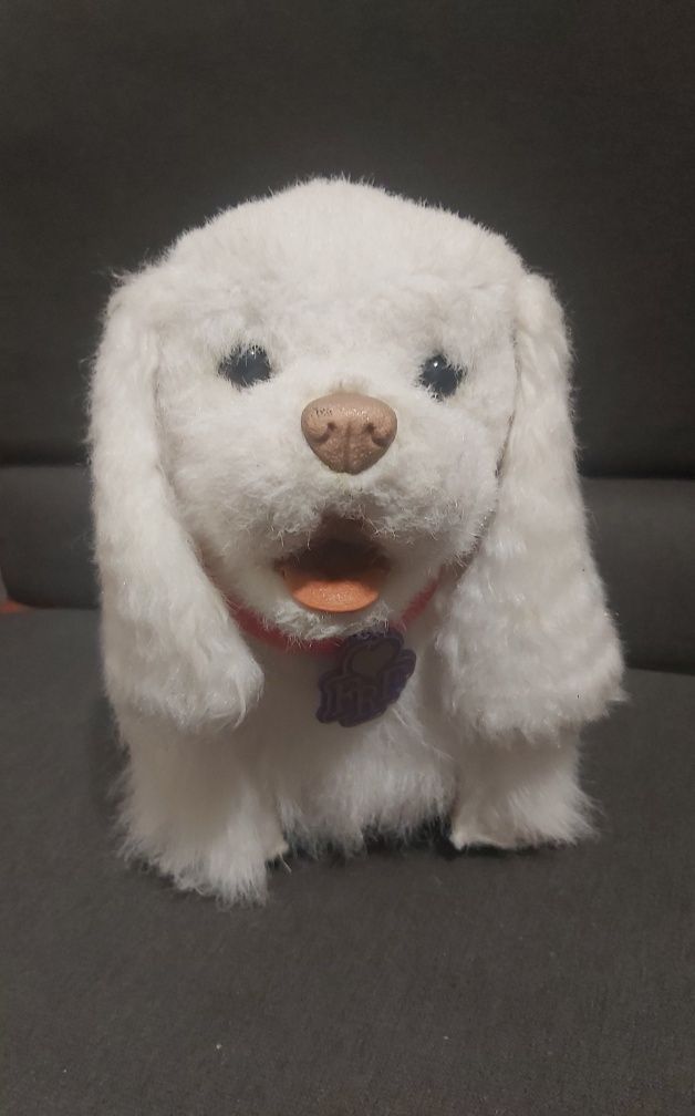 Интерактивний щенок ГоГо с поводком от furreal frends