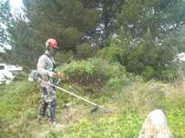 Limpeza de terrenos