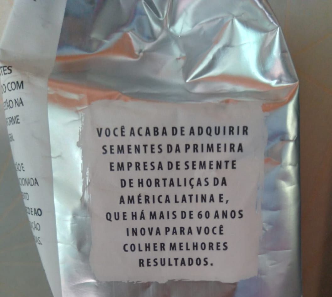 Sementes Grama  Brasileira