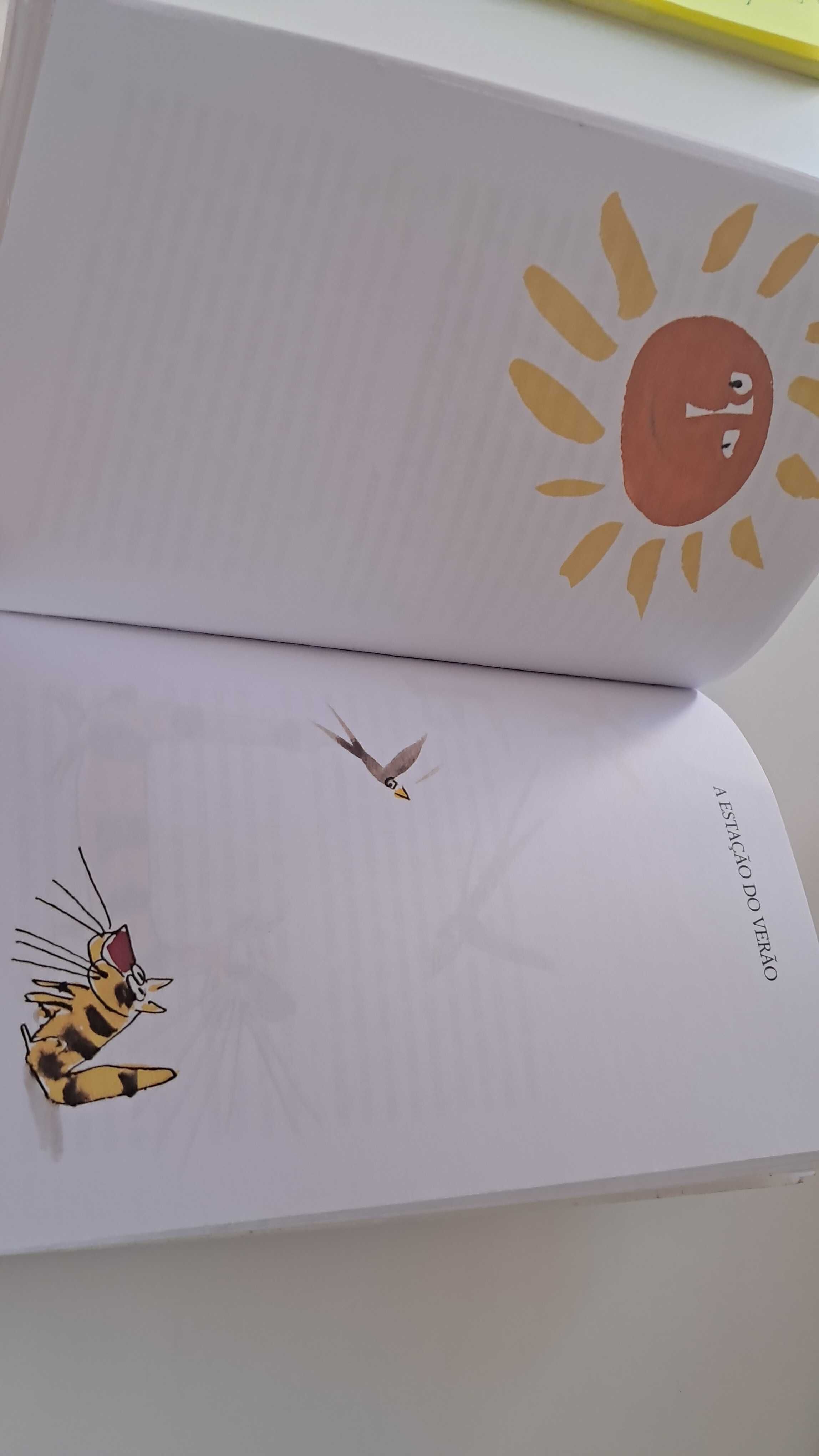Livro O Gato Malhado e a Andorinha Sinhá – Jorge Amado