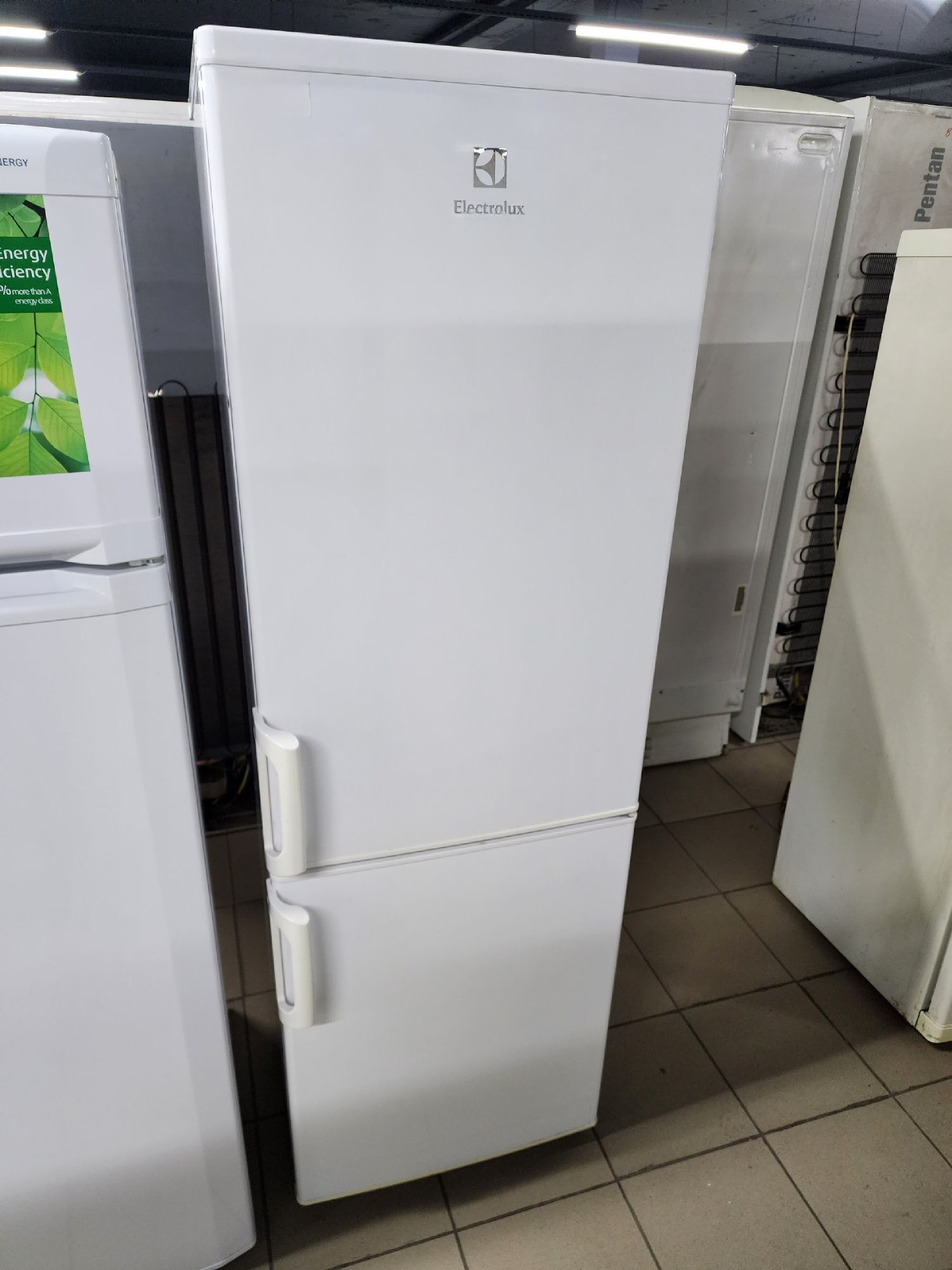 Холодильник з Польші Electrolux ENF2440 в ідеальному стані