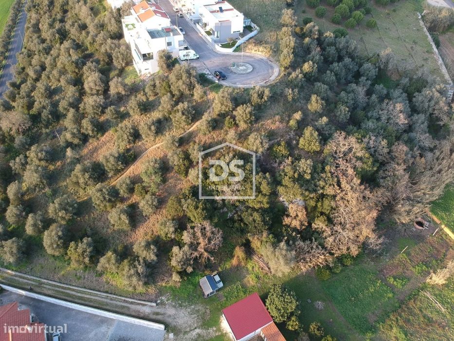 Lote de Terreno  Venda em Batalha,Batalha