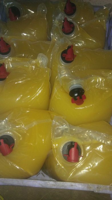 Świeży*SOK*Z*Pigwowca*Japońskiego*3L*Tłoczony*