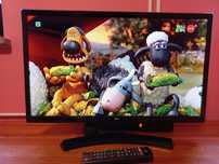 Telewizor Monitor LG 24MT49DF 24 cali