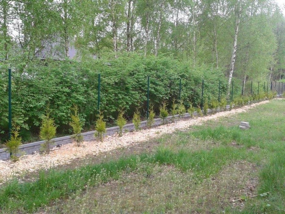 Panel ogrodzeniowy podmurówka siatka ogrodzeniowa ogrodzenie MONTAŻ