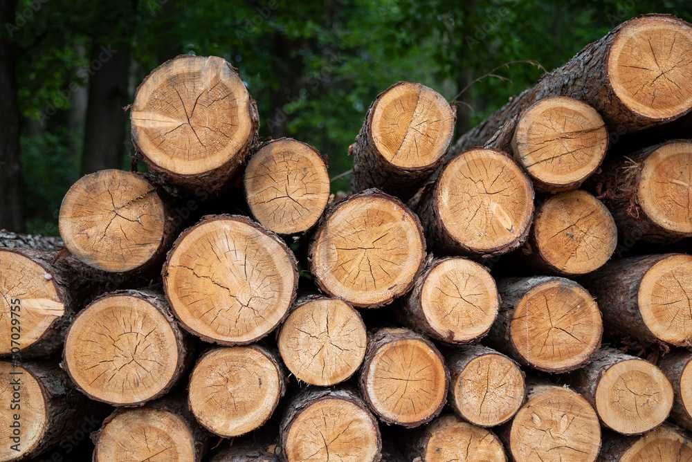 Drzewo opałowe   Zabrze, Andrychów