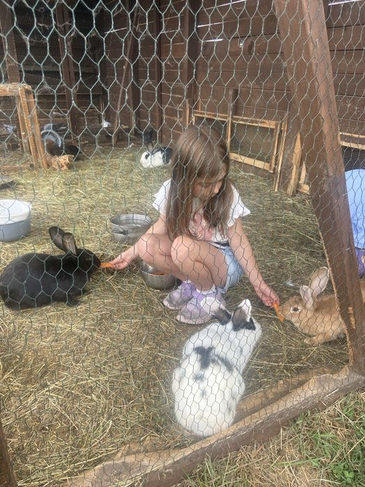 Apartament, agroturystyka , Kotlina Kłodzka , Góry Stołowe , noclegi