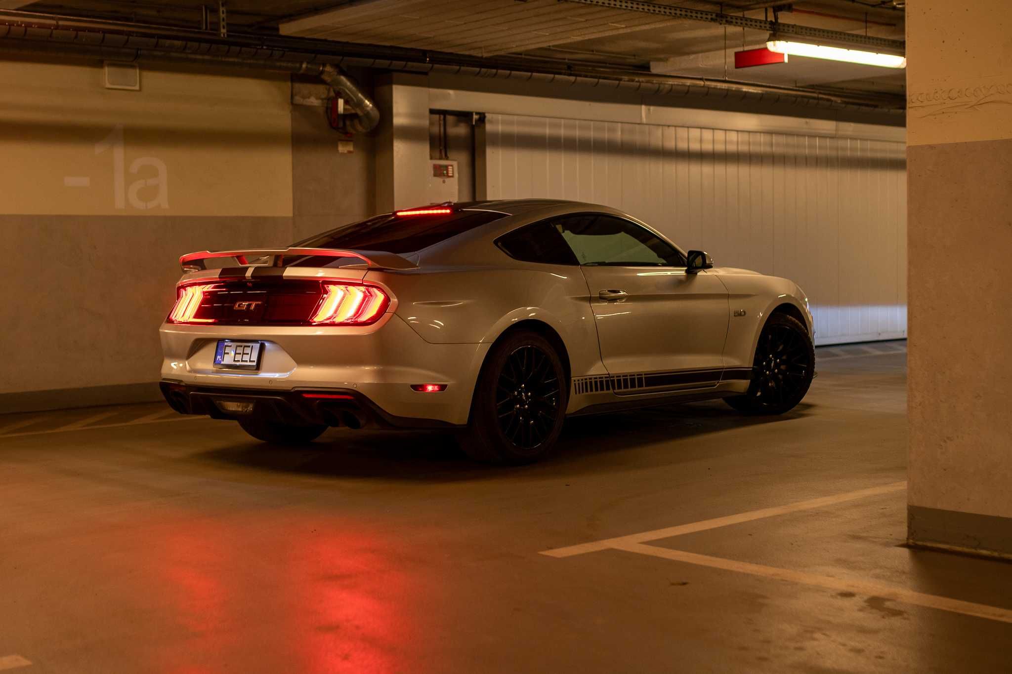 Ford Mustang GT V8 Performance Power – wynajem / wypożyczenie [FeelV8]