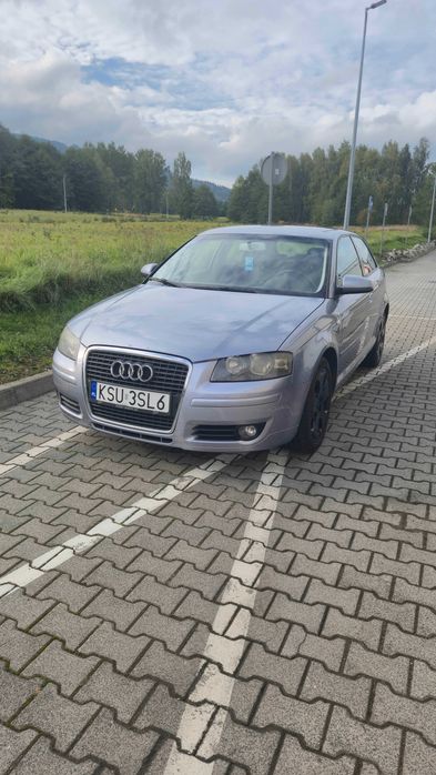Audi A3 8P 1.9 TDI