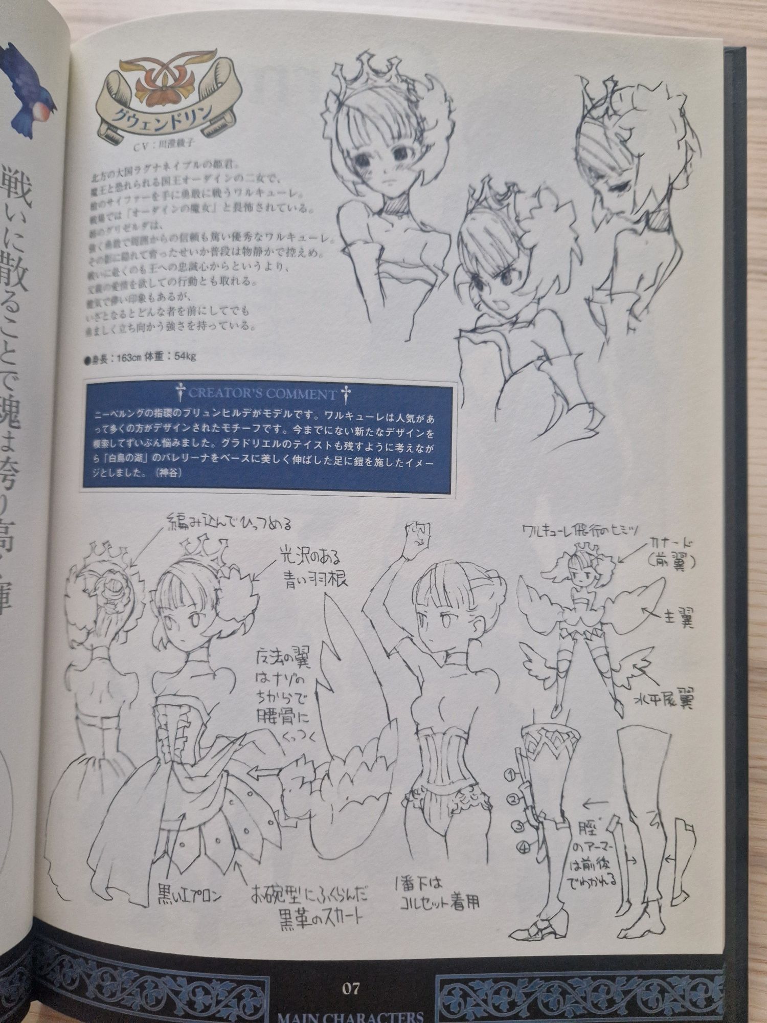 Kolekcjonerski artbook z gry Odin Sphere PS2, manga, anime
