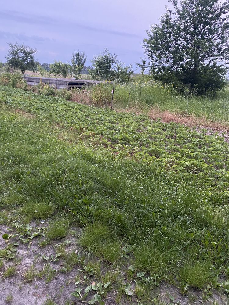 Ділянка під забудову ожб