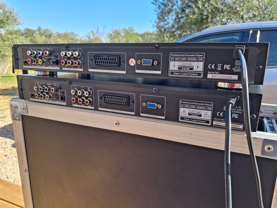 Professional Karaoke Player