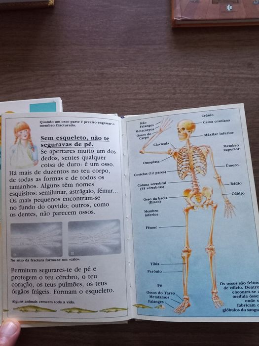 Livros O Corpo Humano e a História do Nascimento
