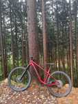 Rower MTB Trek Roscoe 9
