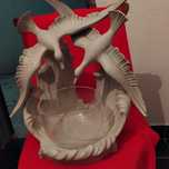 Suporte aquario peixe