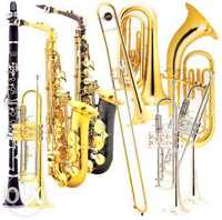 Аренда, прокат саксофона, трубы, флейты, кларнета. Духовые инструменты