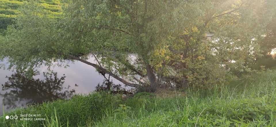 Земельна ділянка в мальовничому місці Львівський район с. Забужжя