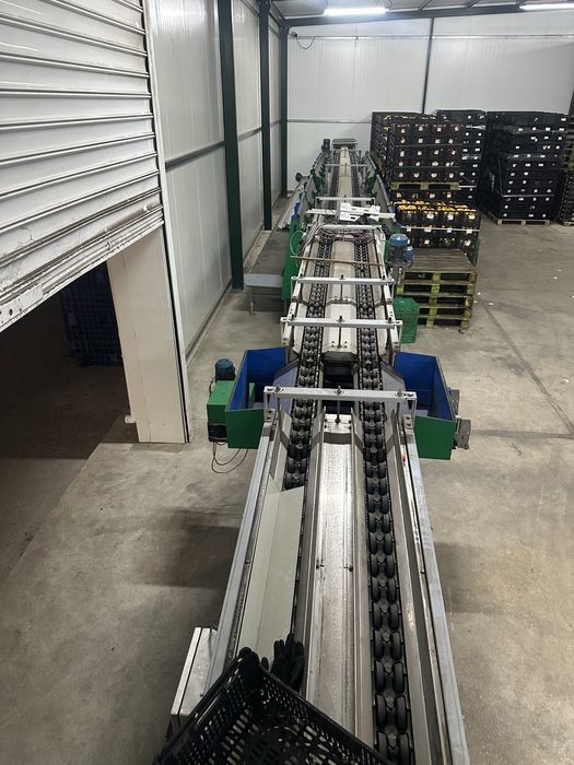 Maquina calibrar frutas