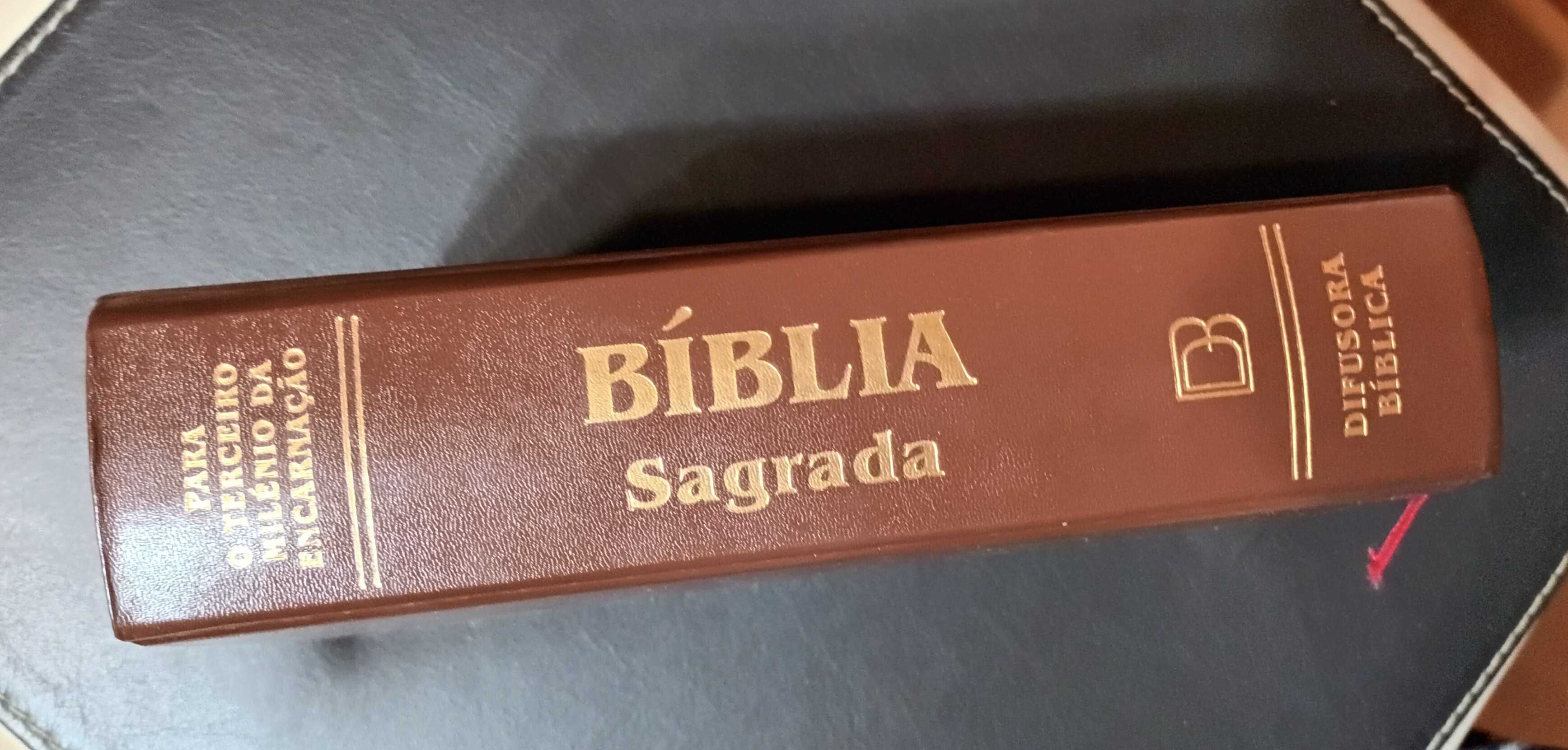 Bíblica Sagrada - Difusora Bíblica