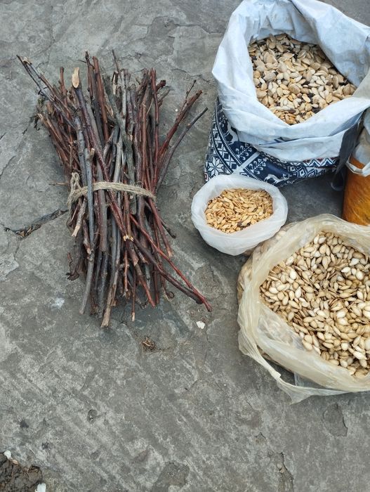 Продам гілочки фруктових дерев для домашніх гризунів, 
гілочки середні