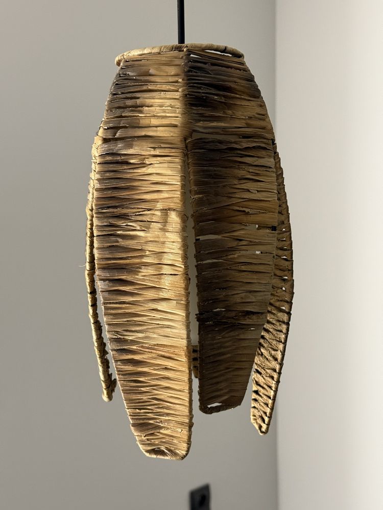 Lampa wisząca Eglo Mongu