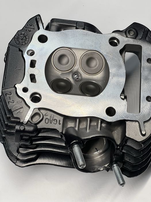 Головка циліндра в зборі 171 FMM Takken 250