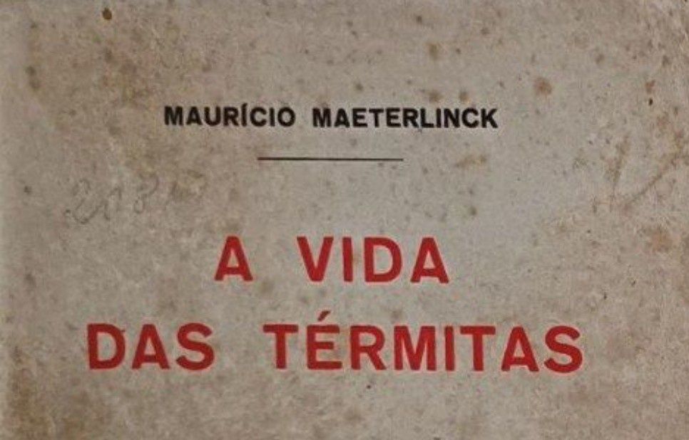 Insetos Térmitas Livro Raro