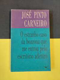 O estranho caso da boazona que me entrou pelo escritório adentro