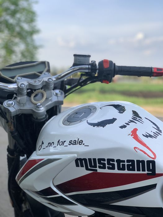 Мустанг Регион 200 | Musstang Region 200