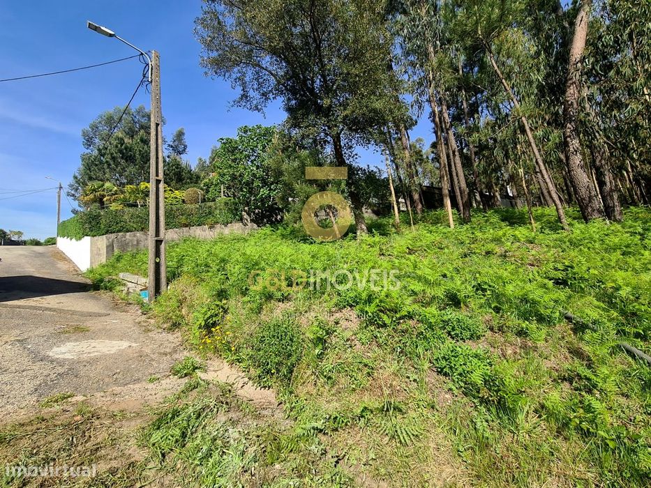 Terreno Rústico  Venda em Canedo, Vale e Vila Maior,Santa Maria da Fei