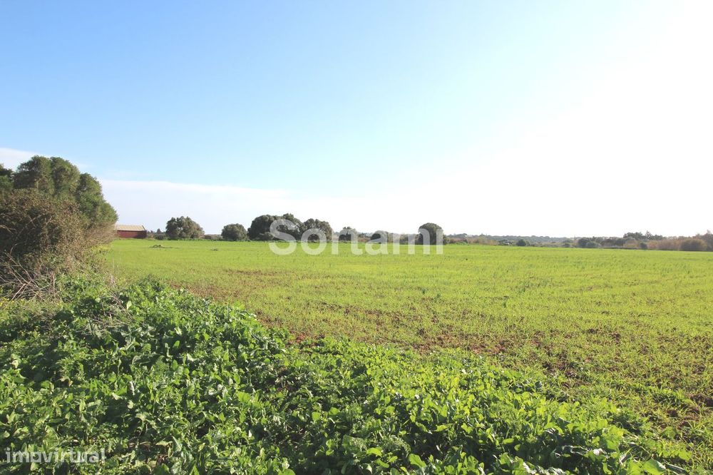 Terreno Rústico  Venda em Quarteira,Loulé