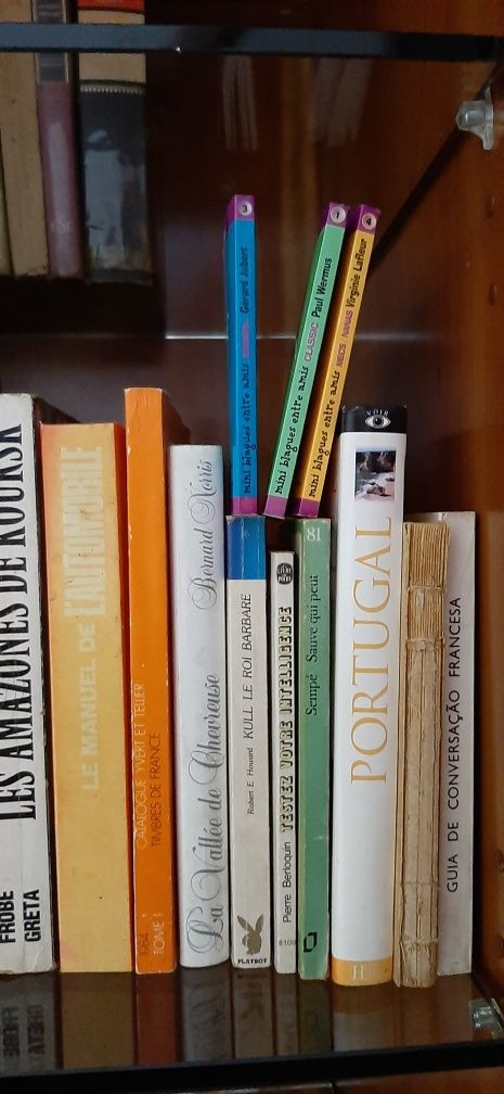 Livros Franceses de várias categorias