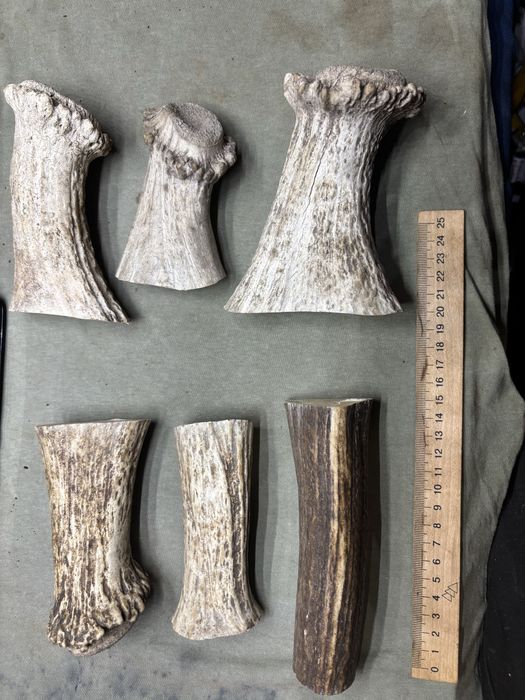 Масивні заготовки рог