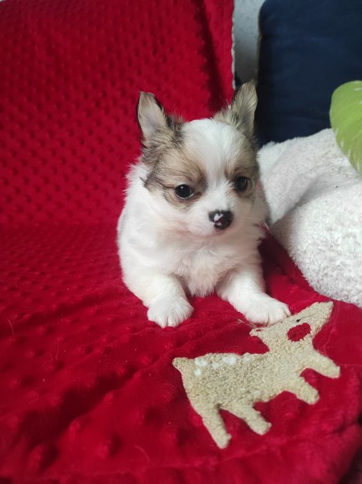 НУ очень красивый малыш!!!