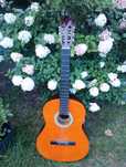 Gitara klasyczna