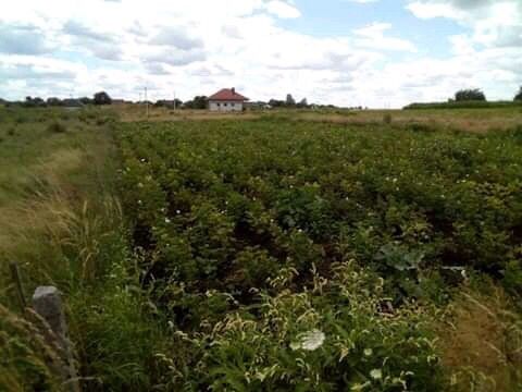 Продається земельна ділянка під забудову 0.10га